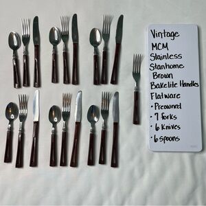 Vintage MCM Stanhome Stainless Steel Flatware with Brown Bakelite Handles. Set19